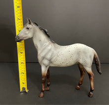 Load image into Gallery viewer, Breyer Classic Horse Wild Blue Duchess Mold