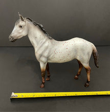 Load image into Gallery viewer, Breyer Classic Horse Wild Blue Duchess Mold