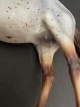 Load image into Gallery viewer, Breyer Classic Horse Wild Blue Duchess Mold