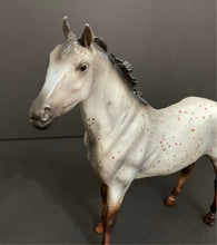 Load image into Gallery viewer, Breyer Classic Horse Wild Blue Duchess Mold