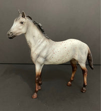 Load image into Gallery viewer, Breyer Classic Horse Wild Blue Duchess Mold