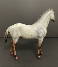 Load image into Gallery viewer, Breyer Classic Horse Wild Blue Duchess Mold