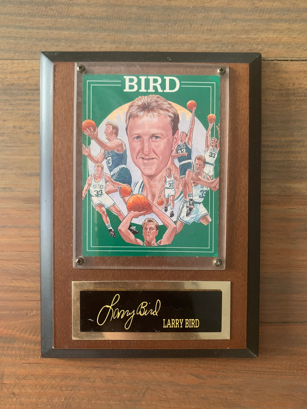 1993 Larry Bird Boston Celtics Plaque