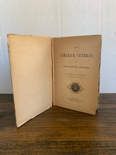 Load image into Gallery viewer, Antique 1873 FIRST EDITION The Limerick Veteran; or The Foster Sisters By Agnes Stewart Book
